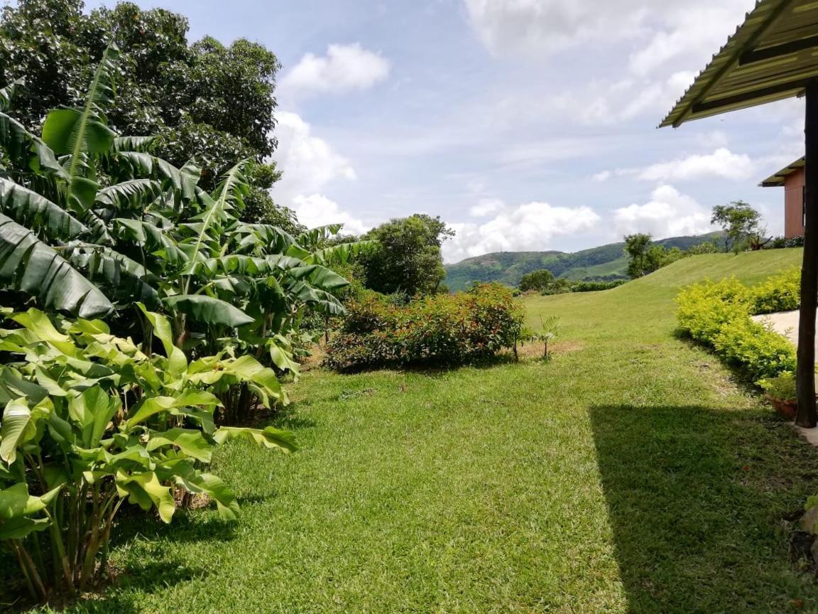 ホテル Casitas De Montana Cabuya モンテベルデ エクステリア 写真