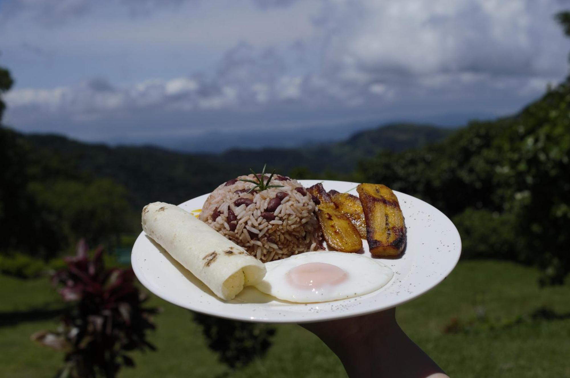 ホテル Casitas De Montana Cabuya モンテベルデ エクステリア 写真